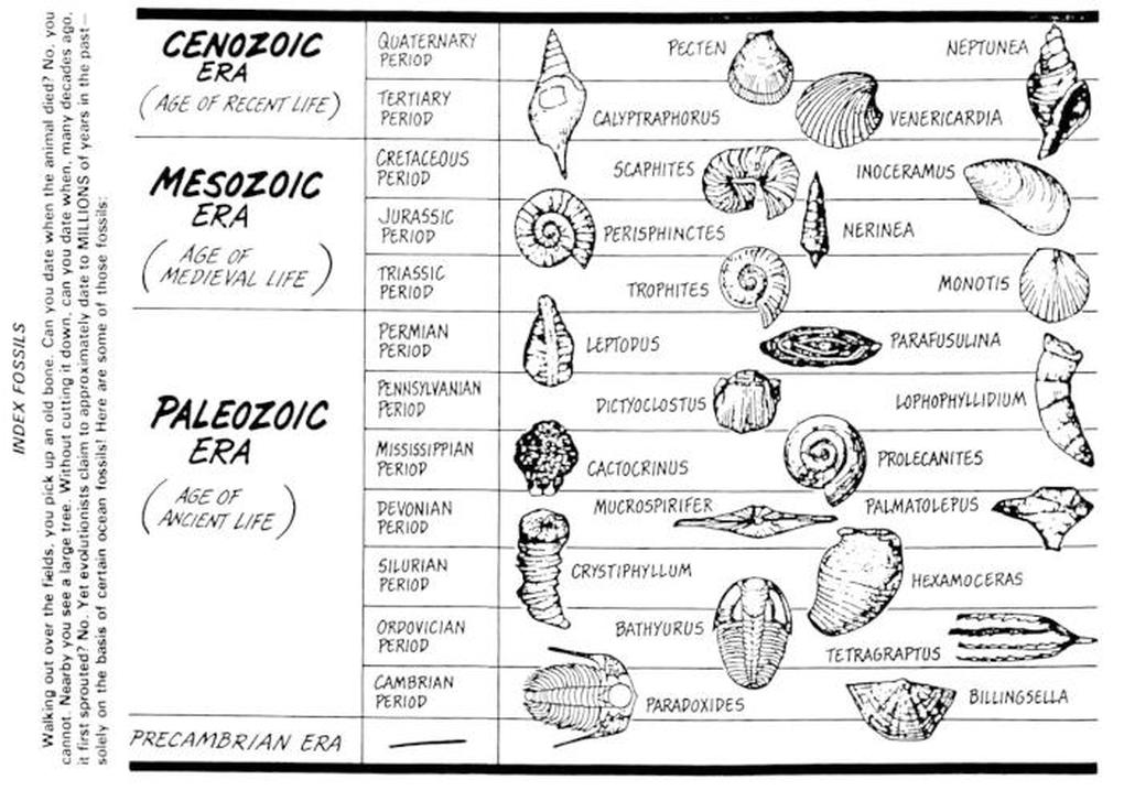 index fossil research paper